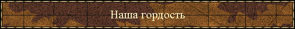 Наша гордость
